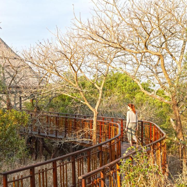 Photo of Others in Hluhluwe
