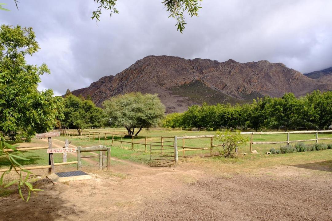 Photo of Others in Montagu