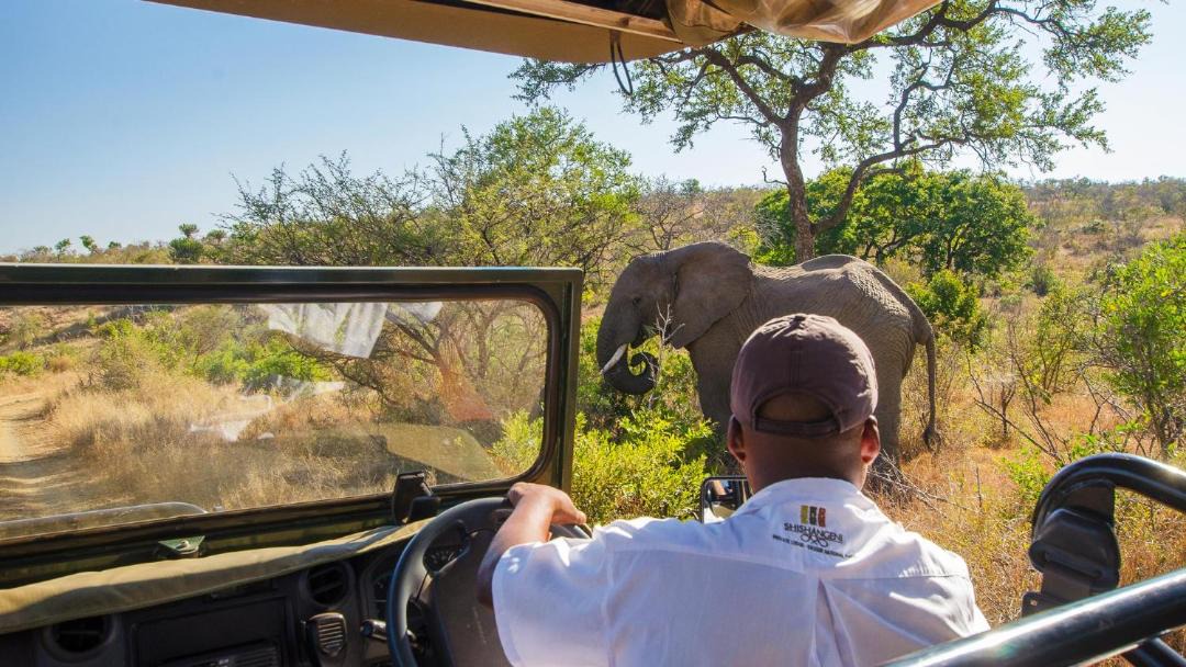 Photo of Others in Kruger National Park
