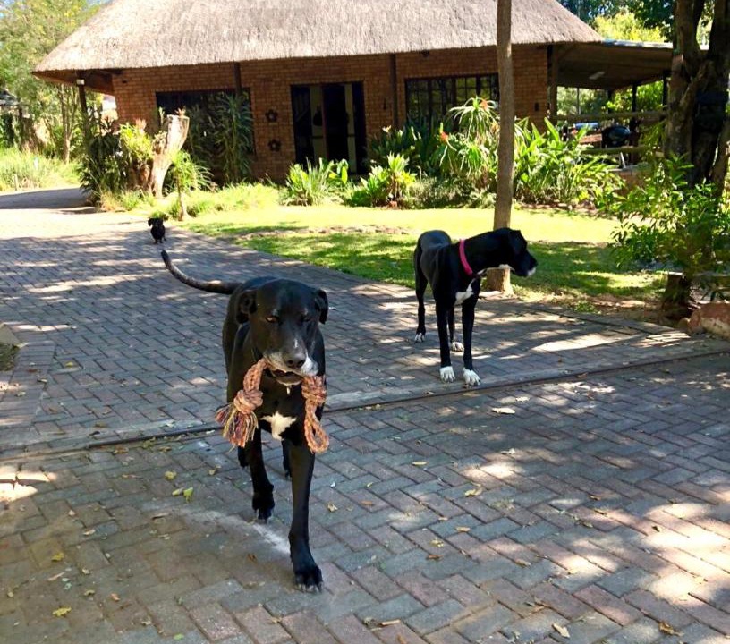 Photo of Others in Nelspruit