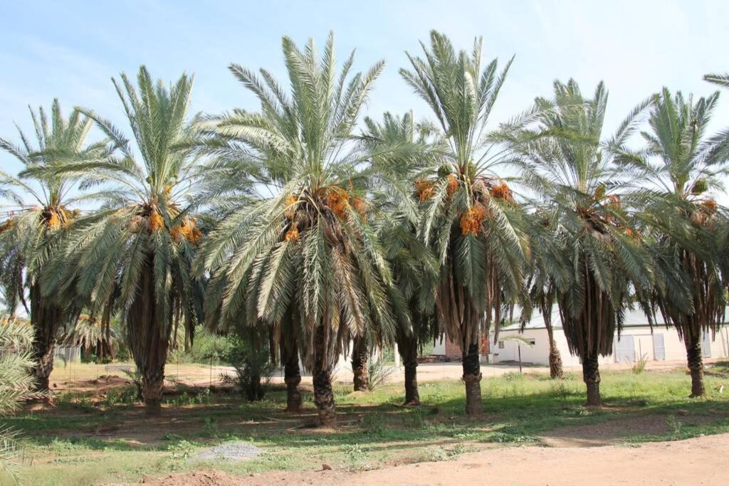 Photo of Others in Kakamas