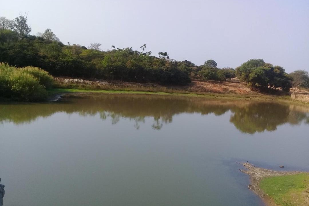 Photo of Outdoor in Tzaneen