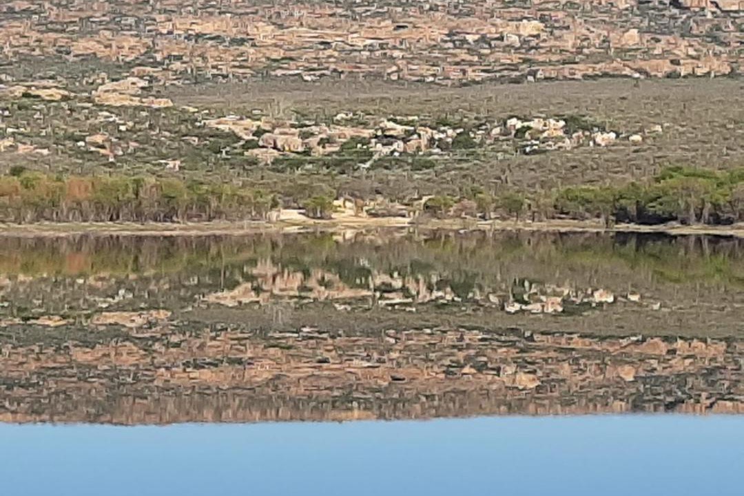 Photo of Others in Cederberg