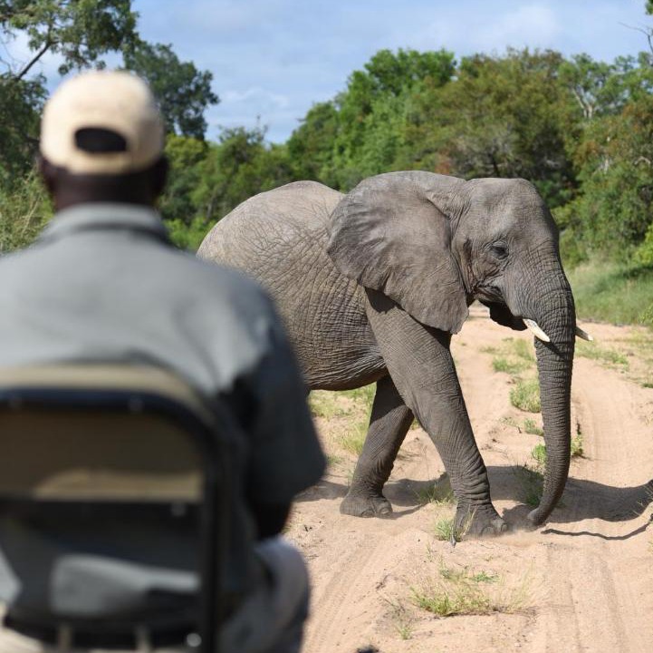 Photo of Others in Thorny Bush Game Reserve