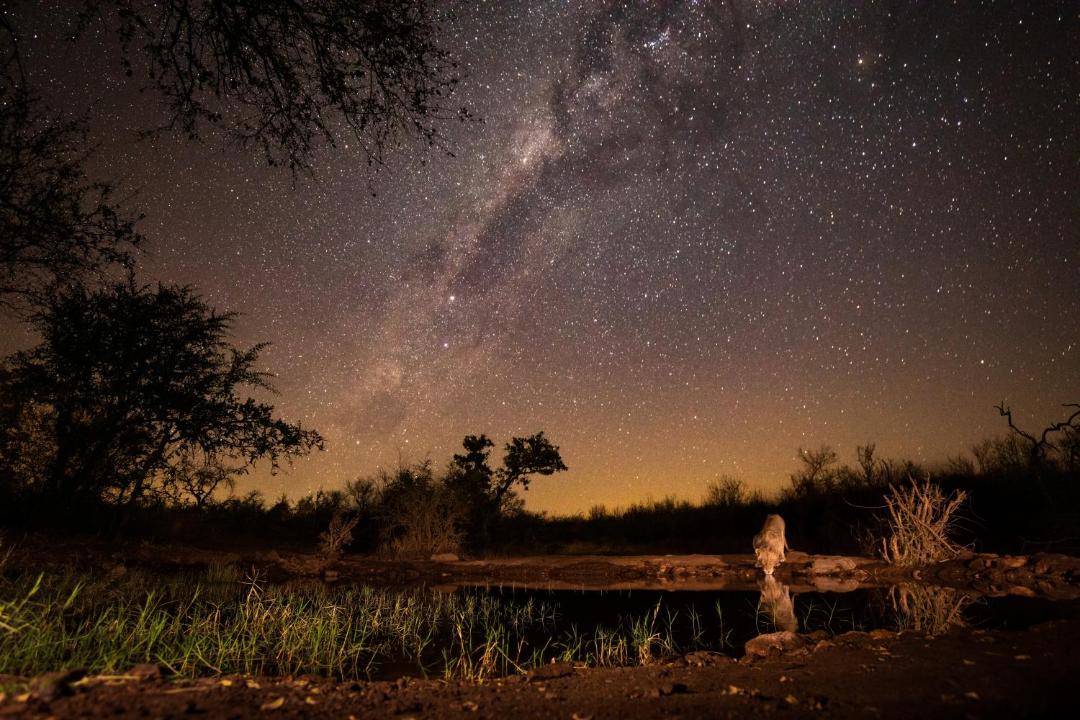Photo of Others in Phalaborwa