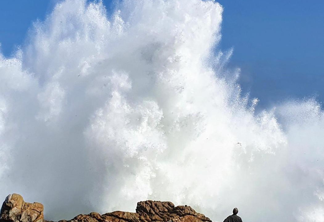 Photo of Human In Picture in Pringle Bay