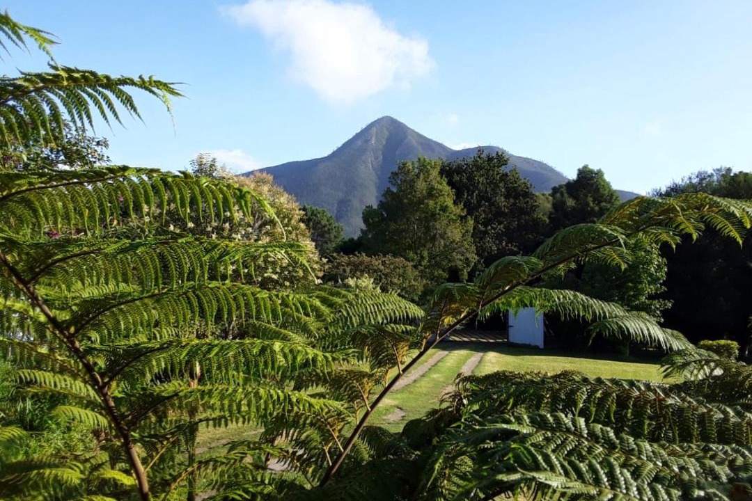 Photo of Others in Storms River