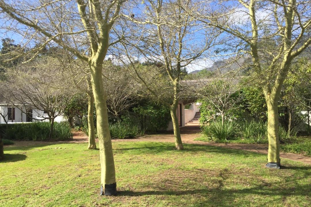 Photo of Others in Stellenbosch