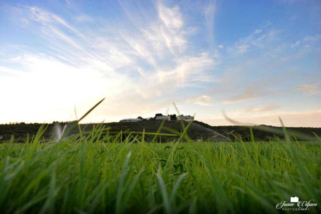 Photo of Others in Addo