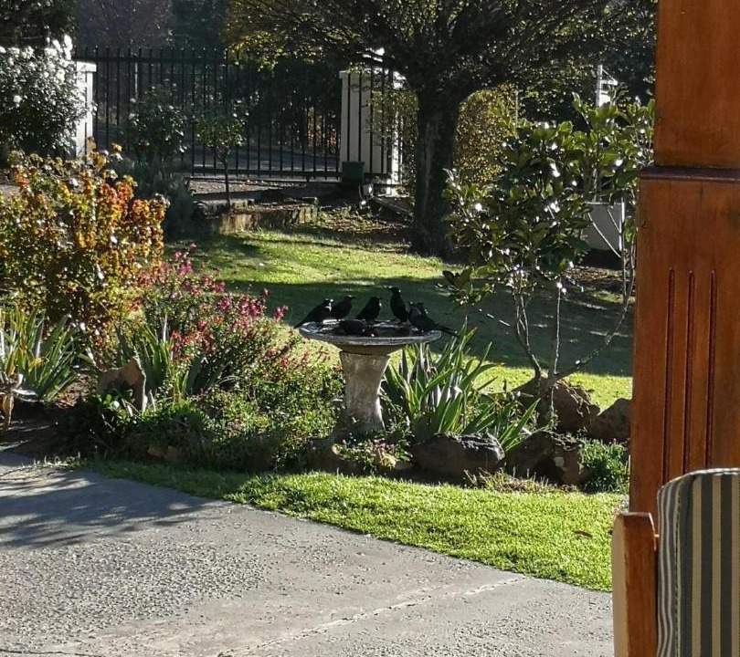Photo of Others in Clarens