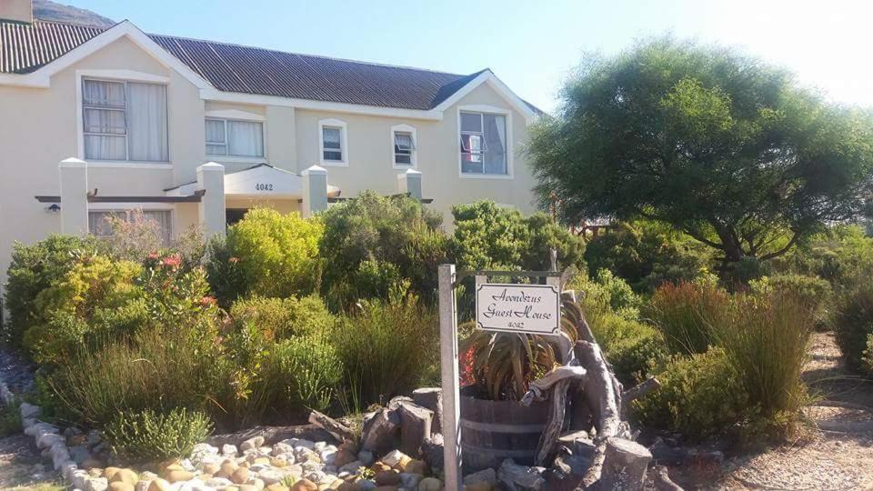 Photo of Others in Betty's Bay
