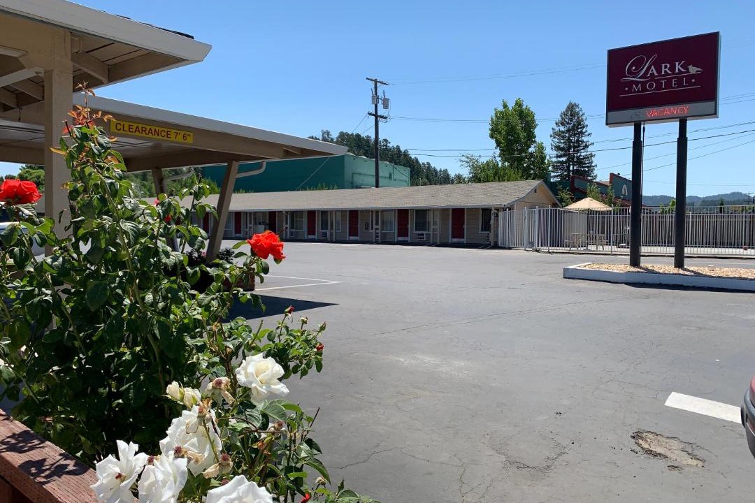 Photo of Others in Willits