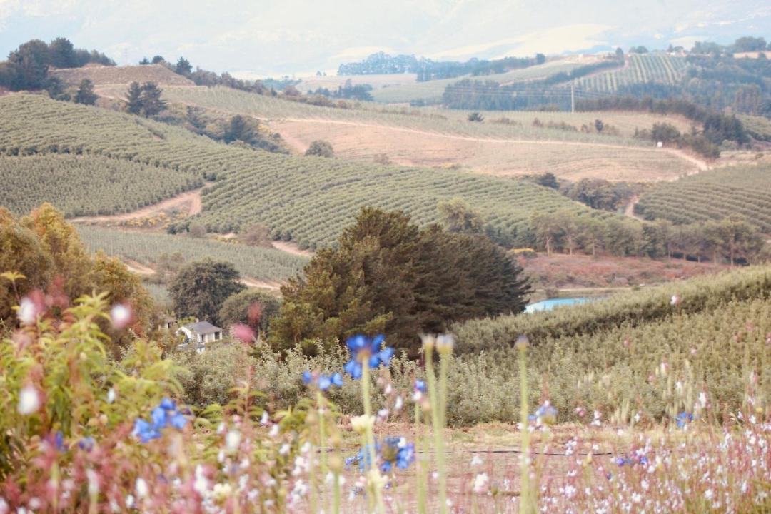 Photo of Others in Grabouw