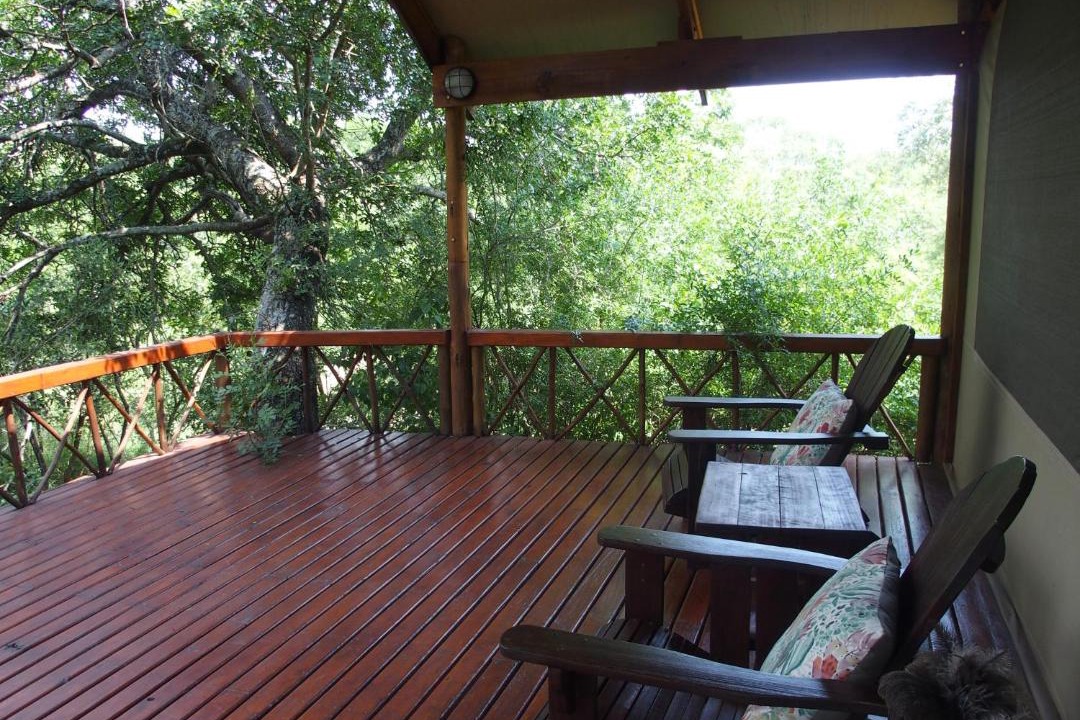 Photo of Others in Thorny Bush Game Reserve