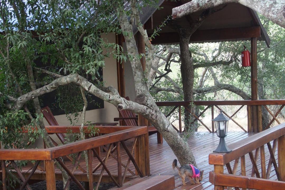 Photo of Others in Thorny Bush Game Reserve