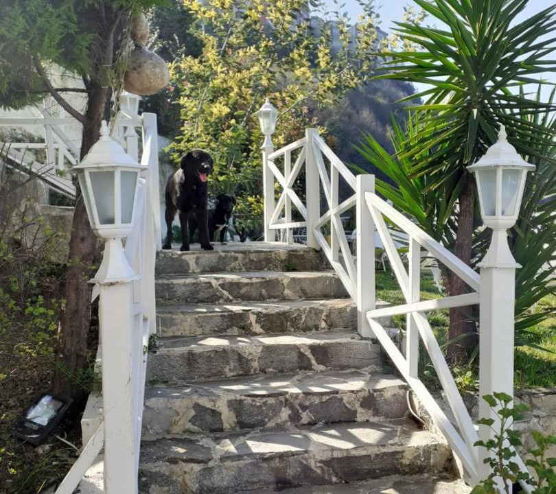 Photo of Others in Zonguldak