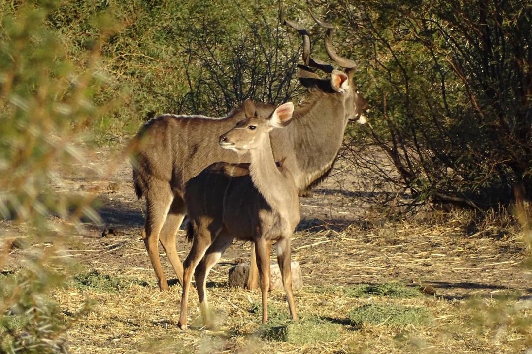 Photo of Others in Beaufort West