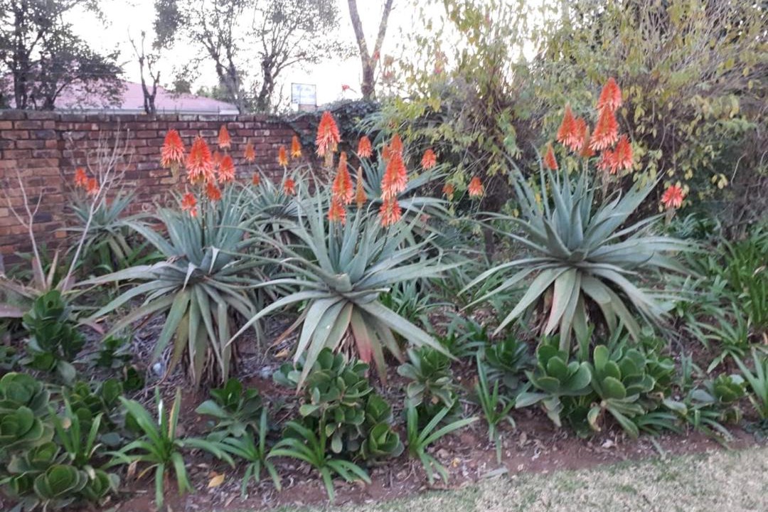 Photo of Others in Piet Retief