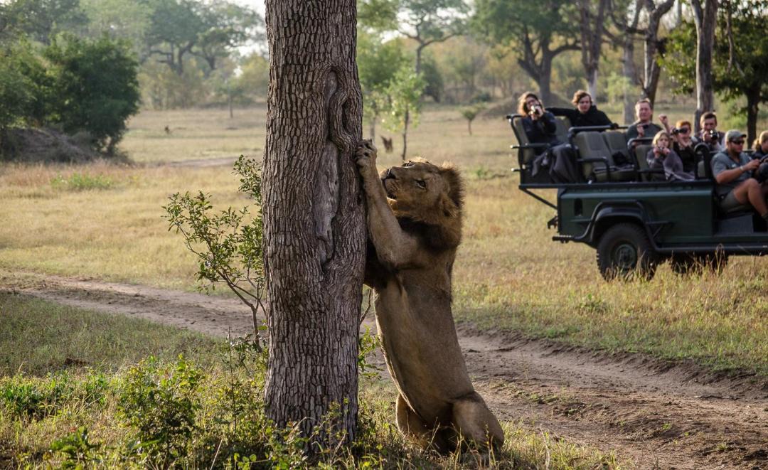 Photo of Others in Kruger National Park