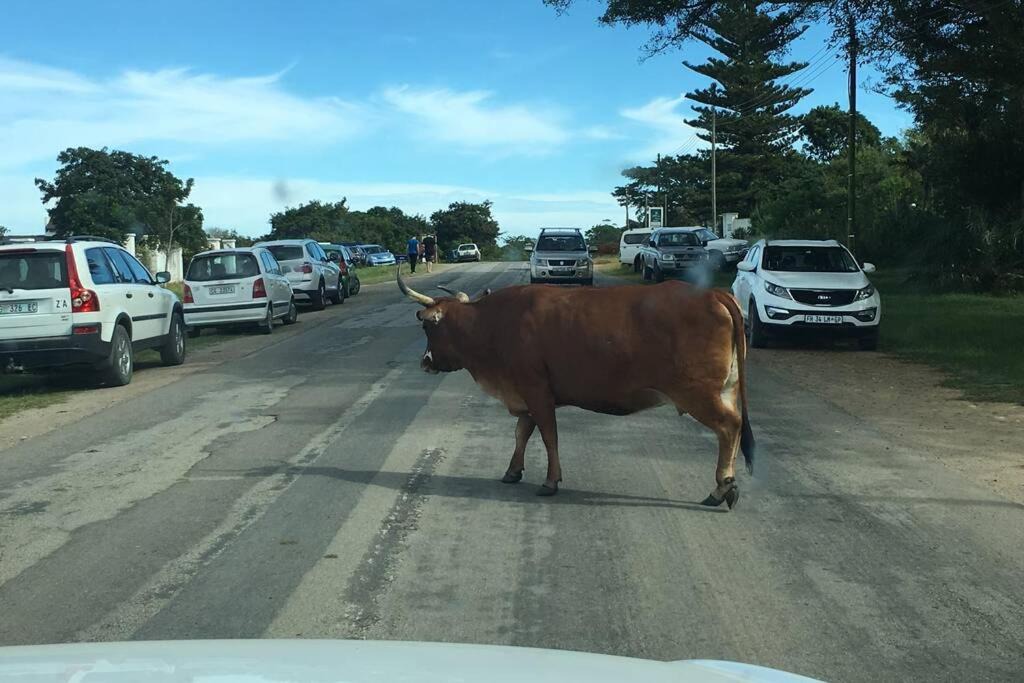 Photo of Others in Port Alfred