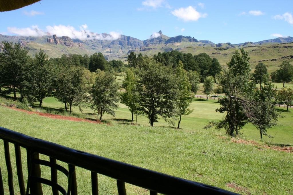 Photo of Others in Drakensberg Gardens