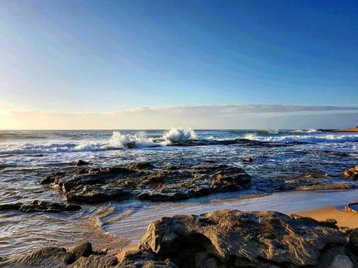 Photo of Others in Shelly Beach