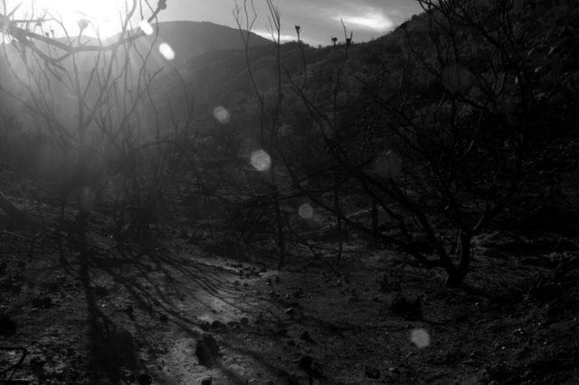 Photo of Others in Barrydale