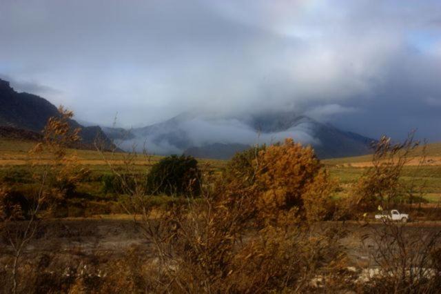 Photo of Others in Barrydale