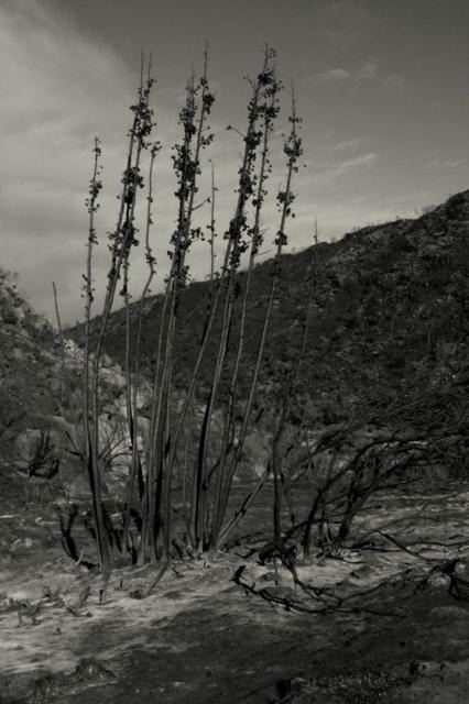 Photo of Others in Barrydale