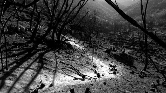 Photo of Others in Barrydale