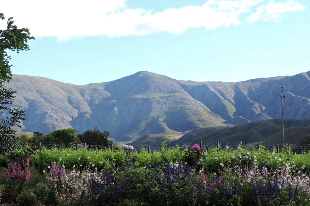 Photo of Others in Langeberg