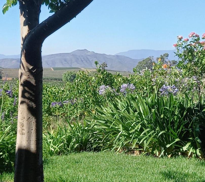 Photo of Others in Langeberg