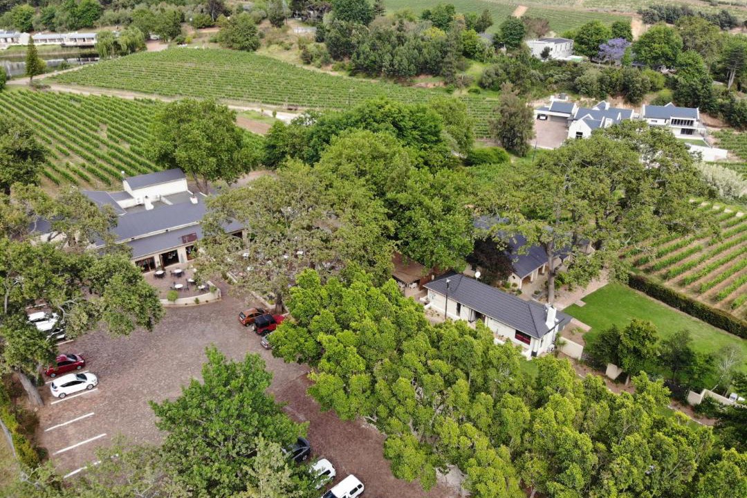 Photo of Others in Cape Winelands