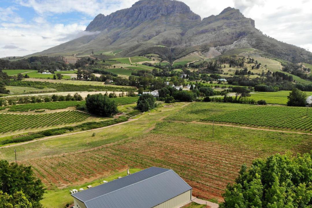 Photo of Others in Cape Winelands