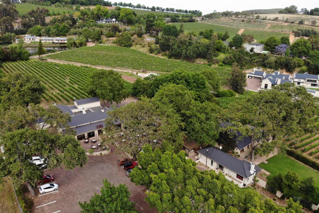 Photo of Others in Cape Winelands