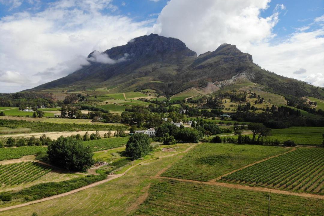 Photo of Others in Cape Winelands