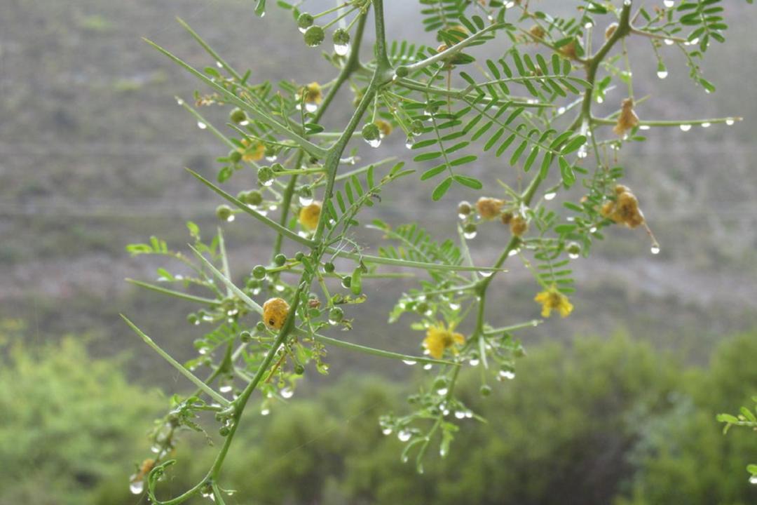 Photo of Outdoor in Kannaland