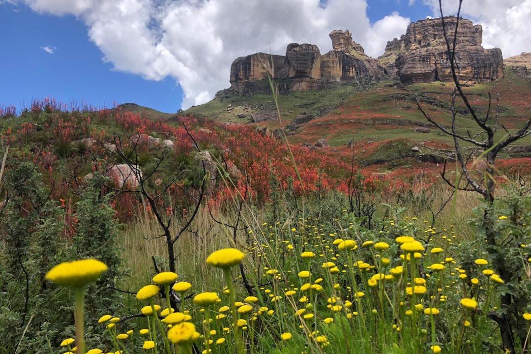 Photo of Others in Underberg