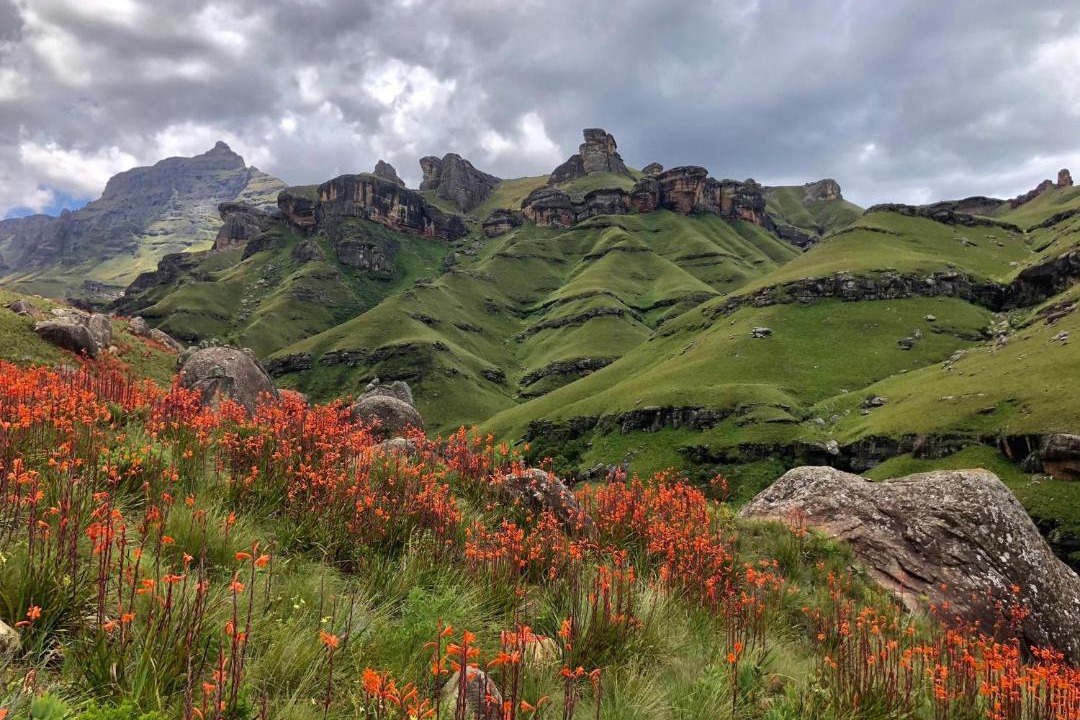 Photo of Others in Underberg