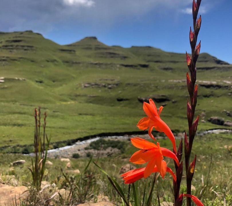 Photo of Others in Underberg