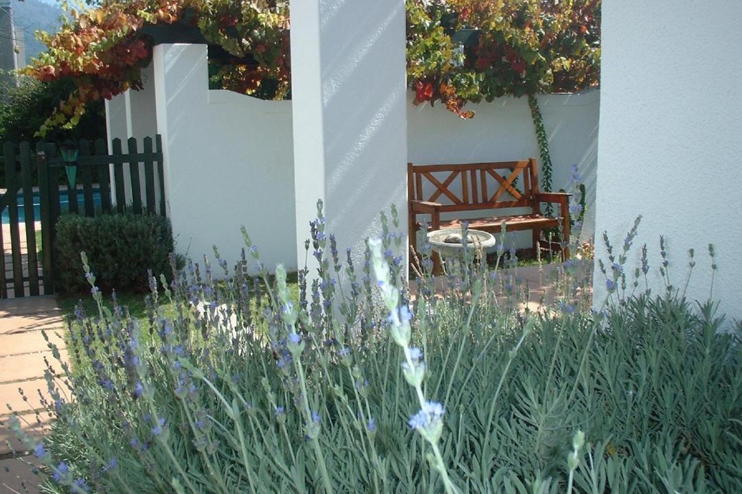 Photo of Others in Franschhoek