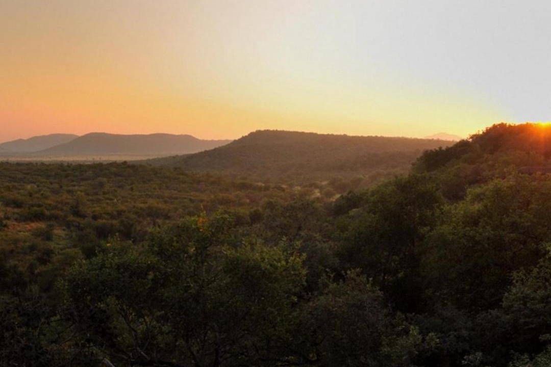 Photo of Others in Madikwe Game Reserve
