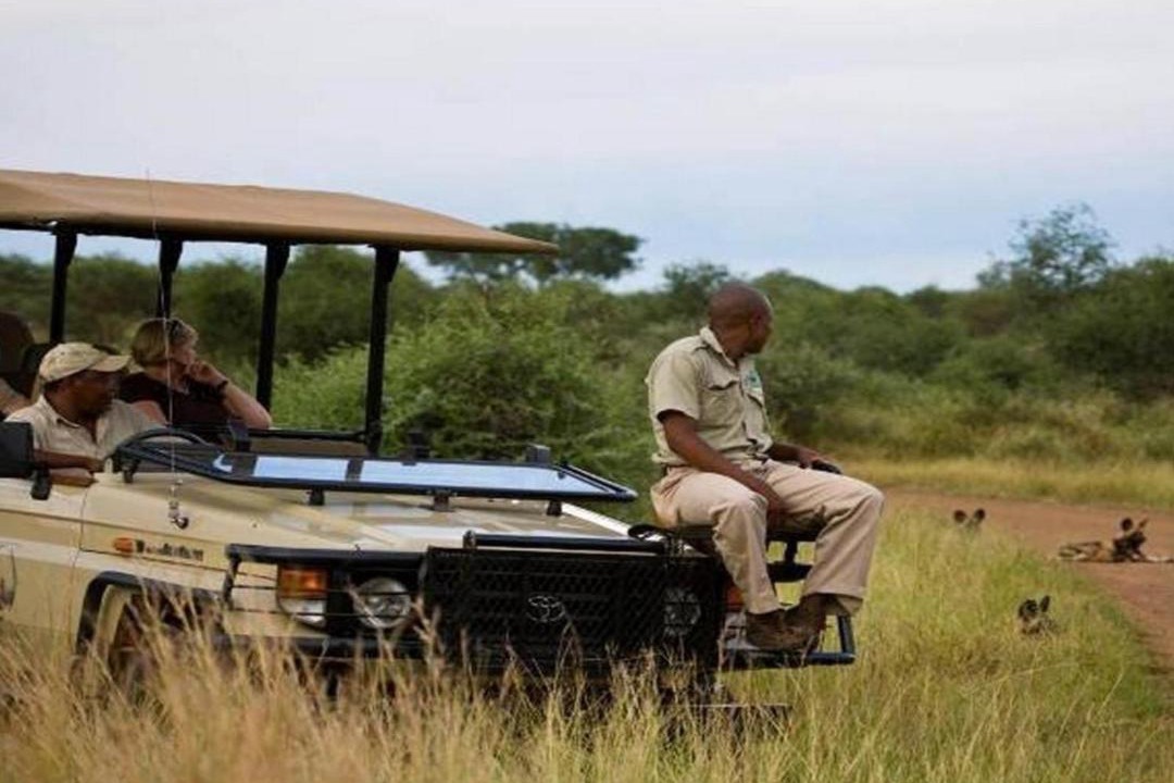 Photo of Others in Madikwe Game Reserve