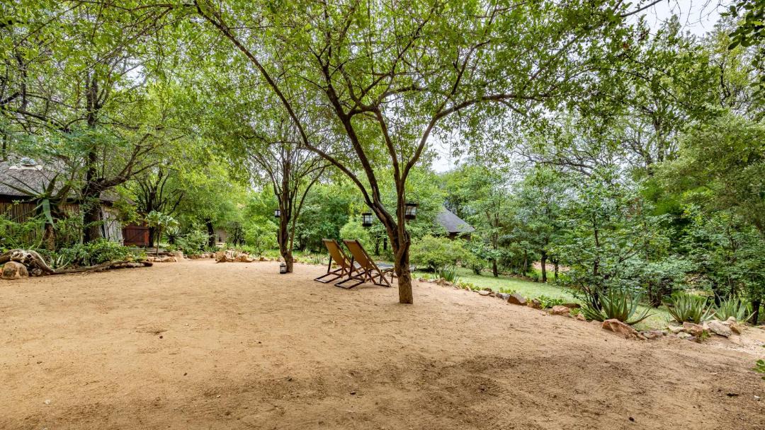 Photo of Others in Thorny Bush Game Reserve