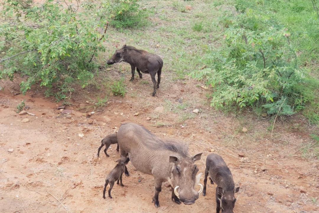 Photo of Others in Bela-Bela