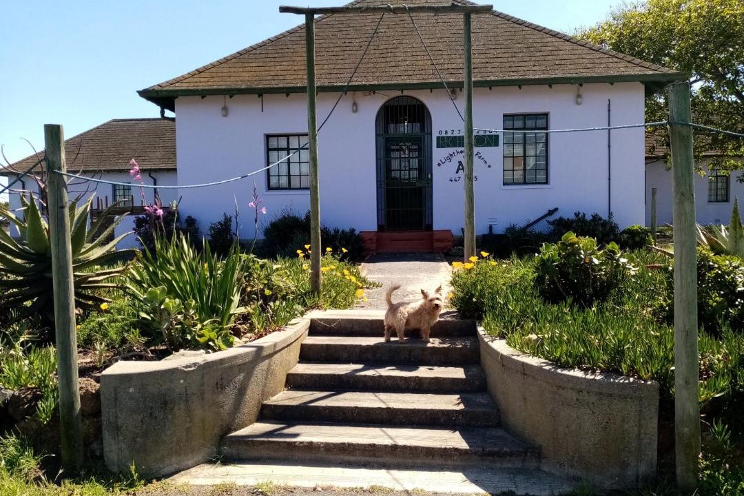 Photo of Others in Cape Town
