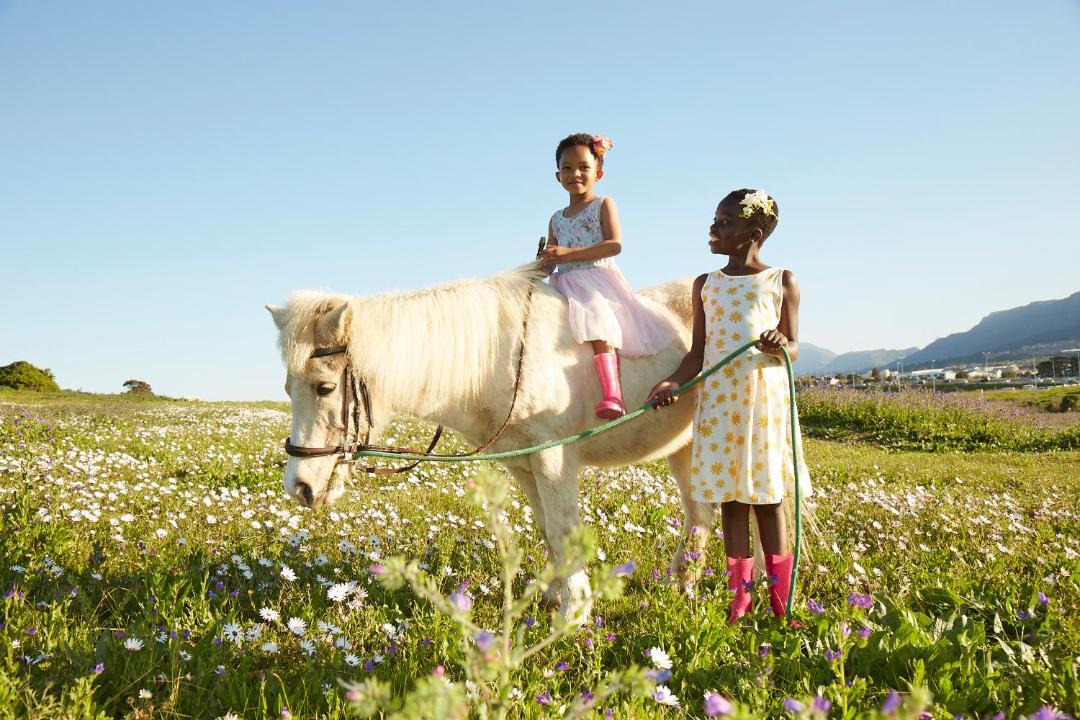 Photo of Others in Cape Town