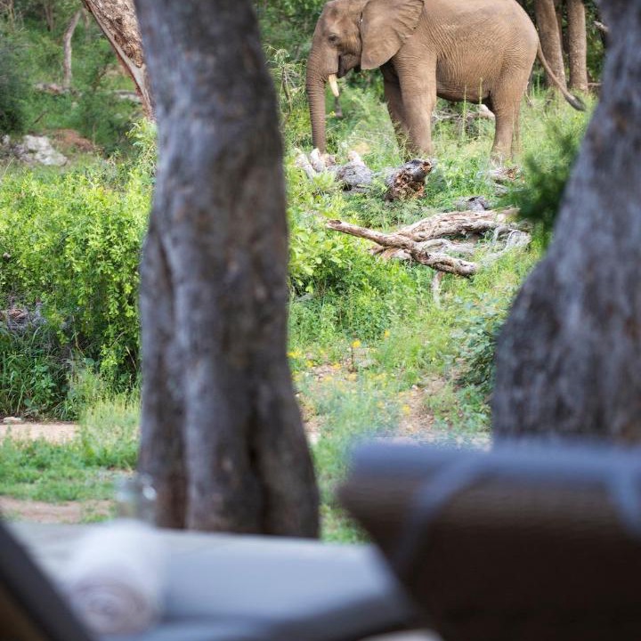 Photo of Others in Kruger National Park