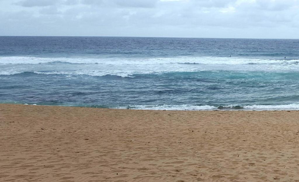 Photo of Others in Hibberdene