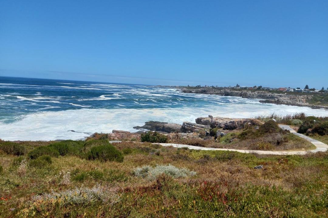Photo of Others in Hermanus City-Centre